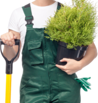 essential components of our daily lives