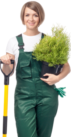 essential components of our daily lives