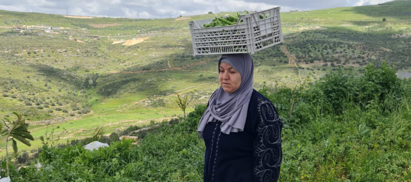 دعم إبداعات المرأة الفلسطينية